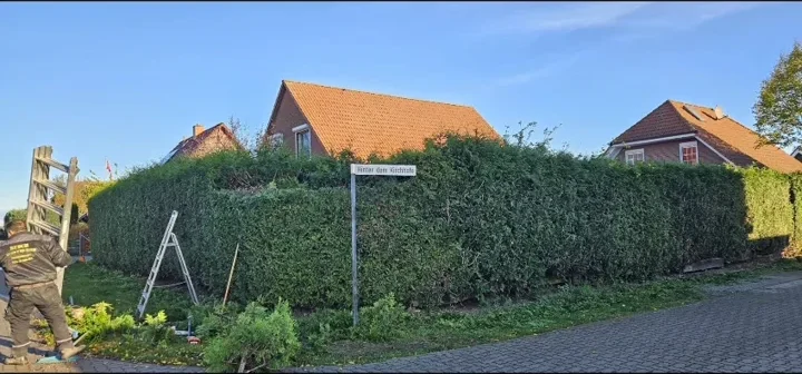 Heckenpflege