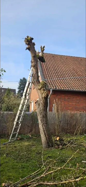 Baumarbeiten