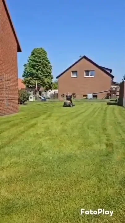 Rasenpflege im Garten