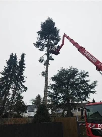 Baumarbeiten mit Arbeitsbühne